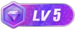 LV5 等级-LV5-六道网创
