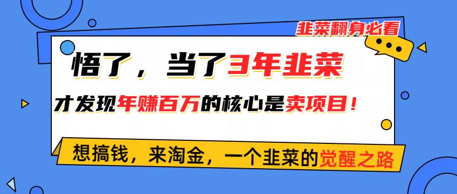 悟了，当了3年韭菜，才发现网赚圈年赚100万的核心是卖项目，含泪分享！-六道网创