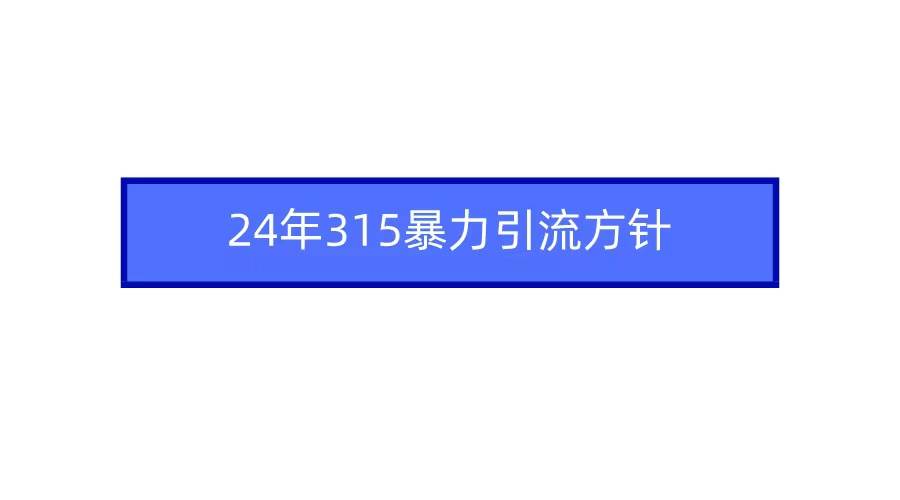 2024年315暴力引流方针-六道网创