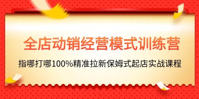全店动销-经营模式训练营，指哪打哪100%精准拉新保姆式起店实战课程-六道网创
