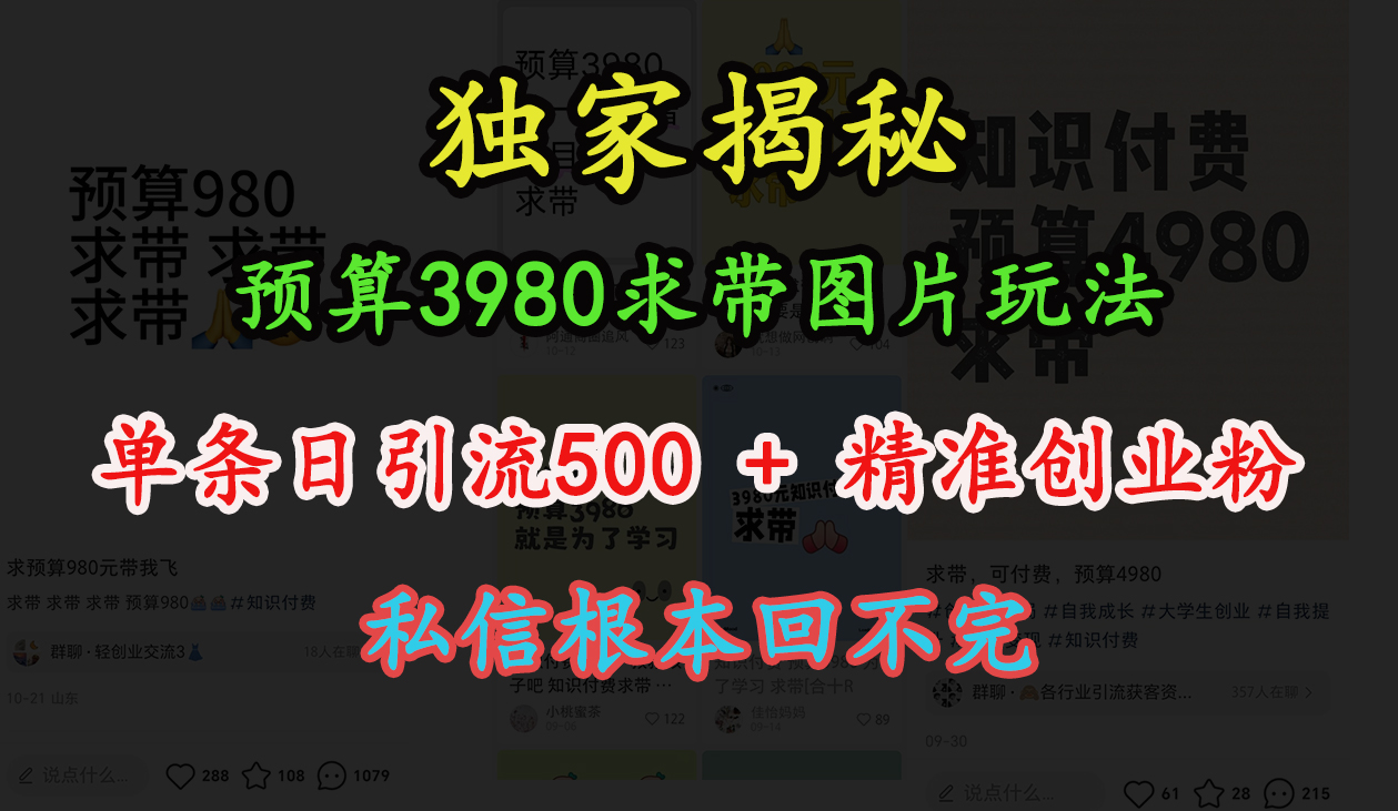 “小红书”预算3980求带 图片玩法，单条日引流500+精准创业粉，私信根本回不完-六道网创