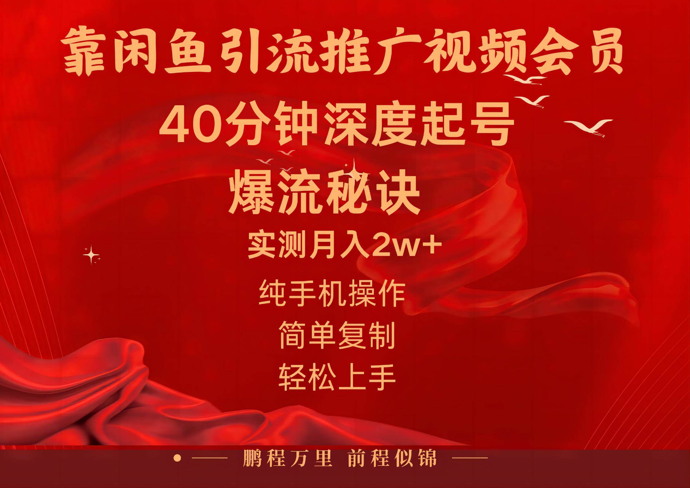 闲鱼暴力引流推广视频会员，能做到日入2W+，操作简单-六道网创