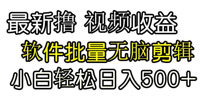 发视频撸收益，软件无脑批量剪辑，第一天发第二天就有钱-六道网创