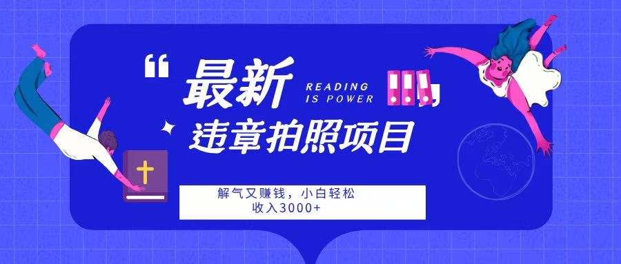 最新违章拍照项目，解气又赚钱，随手一拍，轻松收入3000-六道网创