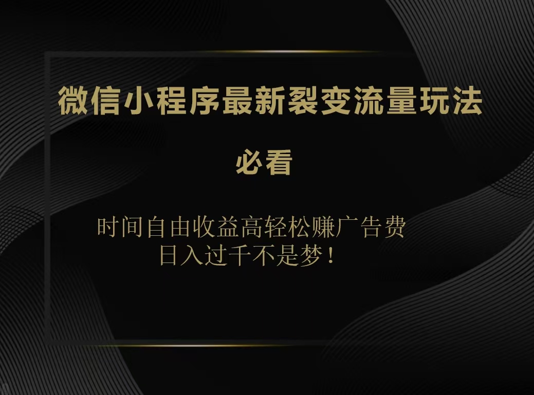 微信小程序最新裂变流量玩法，时间自由收益高轻松赚广告费，日入200-500+-六道网创