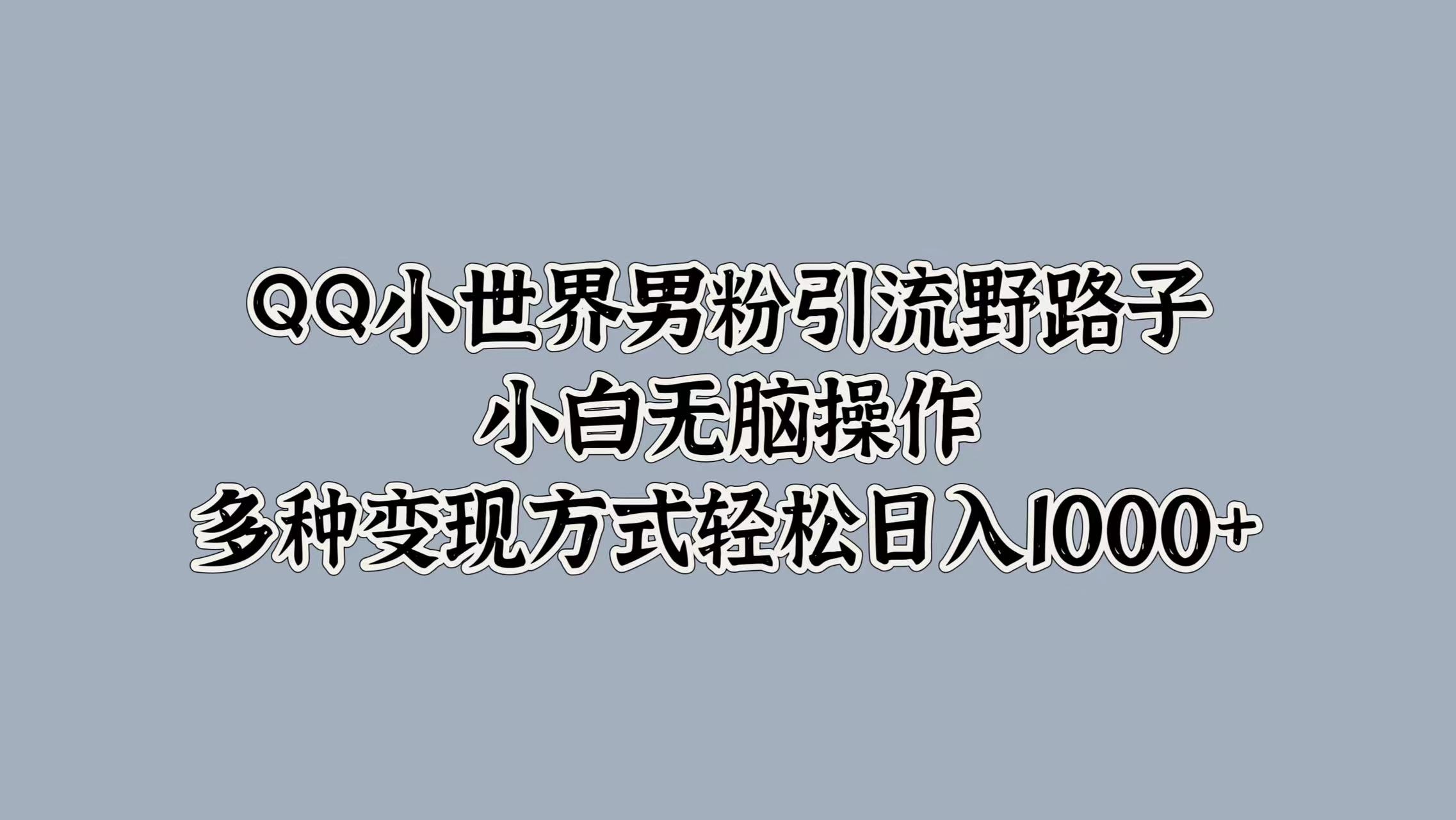 QQ小世界男粉引流野路子，小白无脑操作，多种变现方式轻松日入1000+-六道网创