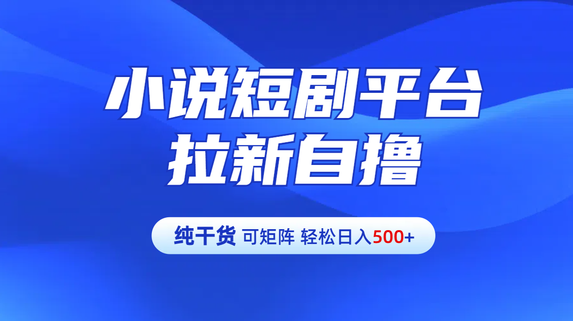 【纯干货】小说短剧平台拉新自撸玩法详解-单人轻松日入500+-六道网创