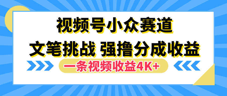 视频号小众赛道，文笔挑战，一条视频收益4K+-六道网创
