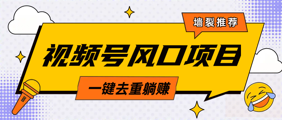 视频号风口蓝海项目，中老年人的流量密码，简单无脑，一键去重，轻松月入过万-六道网创