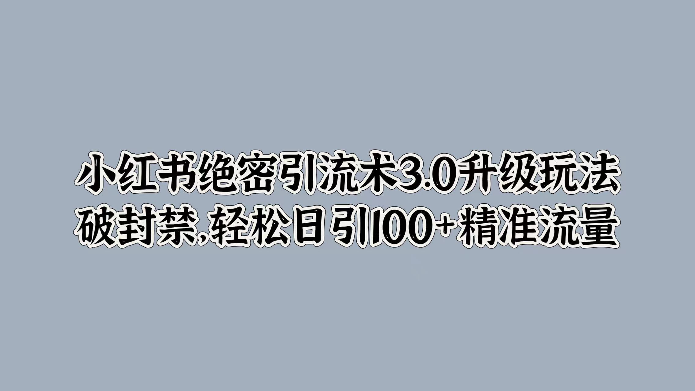 小红书绝密引流术3.0升级玩法，破封禁，轻松日引100+精准流量-六道网创
