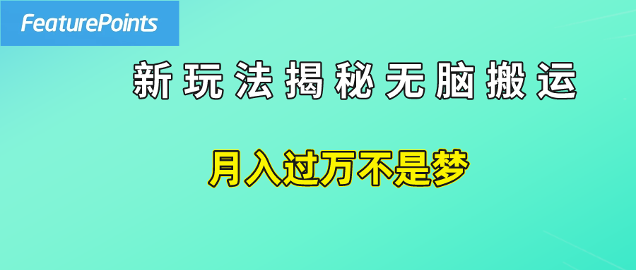 简单操作，每天50美元收入，搬运就是赚钱的秘诀！-六道网创