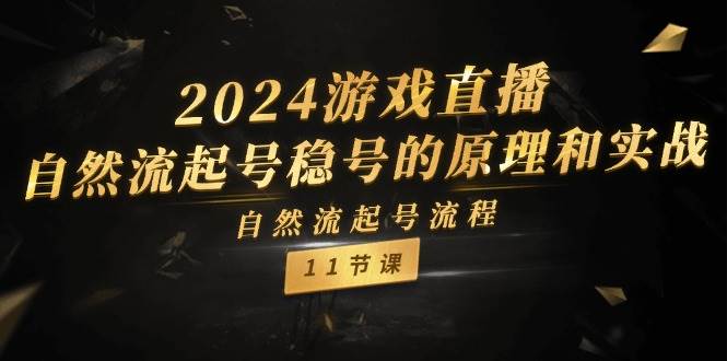 2024游戏直播-自然流起号稳号的原理和实战，自然流起号流程（11节）-六道网创