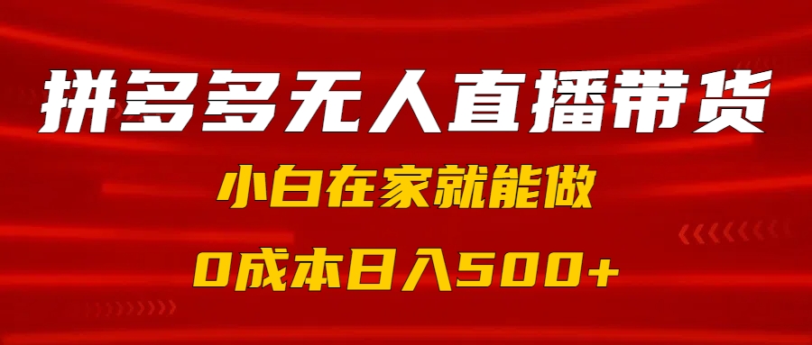 拼多多无人直播带货，小白在家就能做，0成本日入500+-六道网创