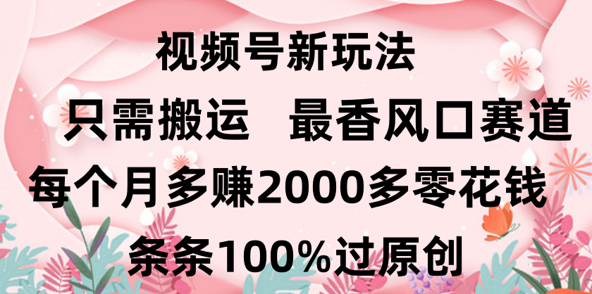 日入2000+，条条100%过原创，视频号最香风口赛道，小白轻松上手-六道网创