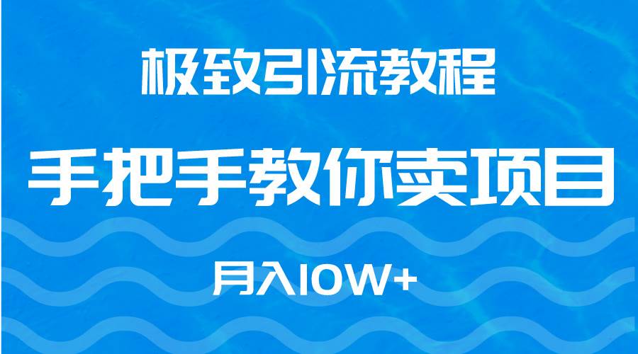 极致引流教程，手把手教你卖项目，月入10W+-六道网创