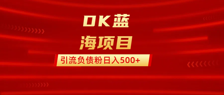 DK蓝海项目  通过，抖音，快手，小红书，引流负债粉日入500+-六道网创
