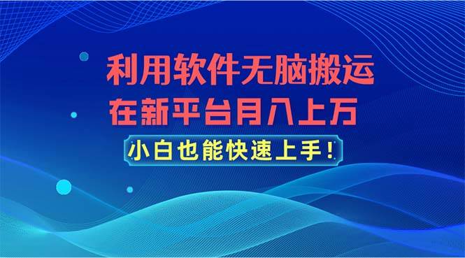 利用软件无脑搬运，在新平台月入上万，小白也能快速上手-六道网创
