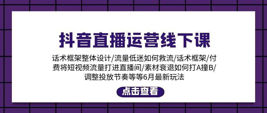 抖音直播运营线下课：话术框架/付费流量直播间/素材A撞B/等6月新玩法-六道网创