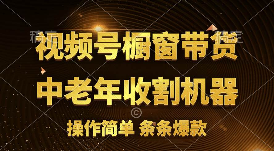 [你的孩子成功取得高位]视频号最火爆赛道，橱窗带货，流量分成计划，条…-六道网创