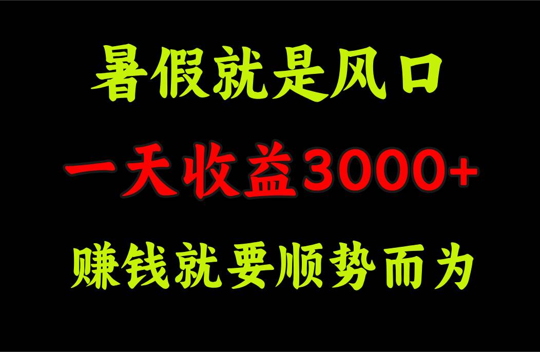 一天收益3000+ 赚钱就是顺势而为，暑假就是风口-六道网创