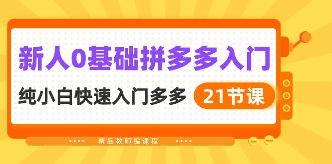 新人0基础拼多多入门，纯小白快速入门多多（21节课）-六道网创