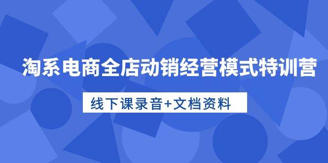 淘系电商全店动销经营模式特训营，线下课录音+文档资料-六道网创