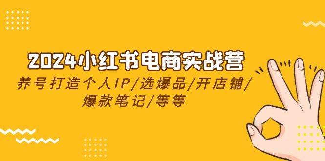 2024小红书电商实战营，养号打造IP/选爆品/开店铺/爆款笔记/等等（24节）-六道网创