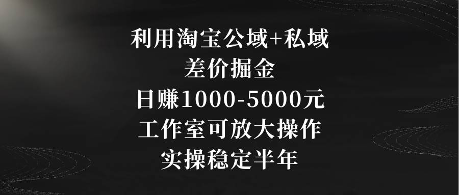 利用淘宝公域+私域差价掘金，日赚1000-5000元，工作室可放大操作，实操…-六道网创