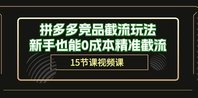 拼多多竞品截流玩法，新手也能0成本精准截流（15节课）-六道网创
