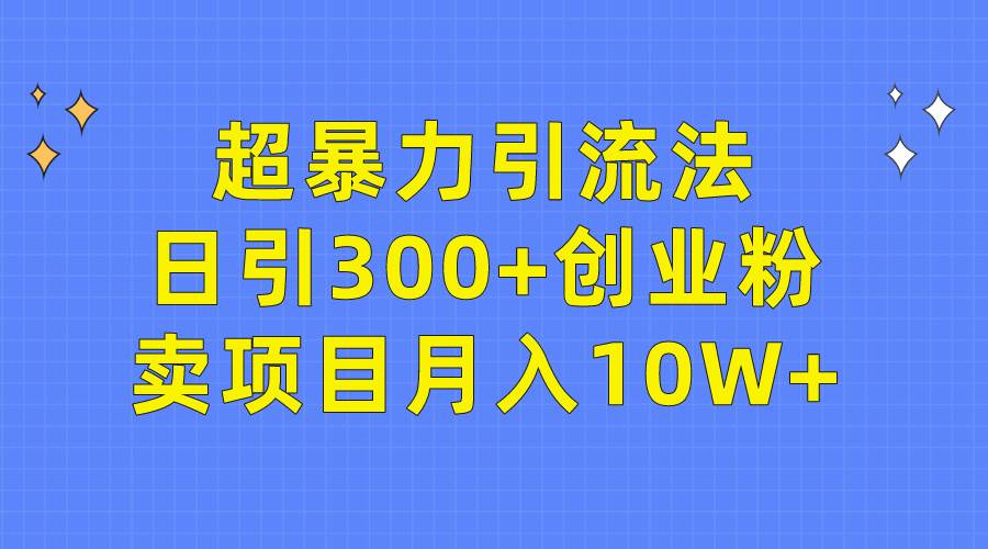超暴力引流法，日引300+创业粉，卖项目月入10W+-六道网创