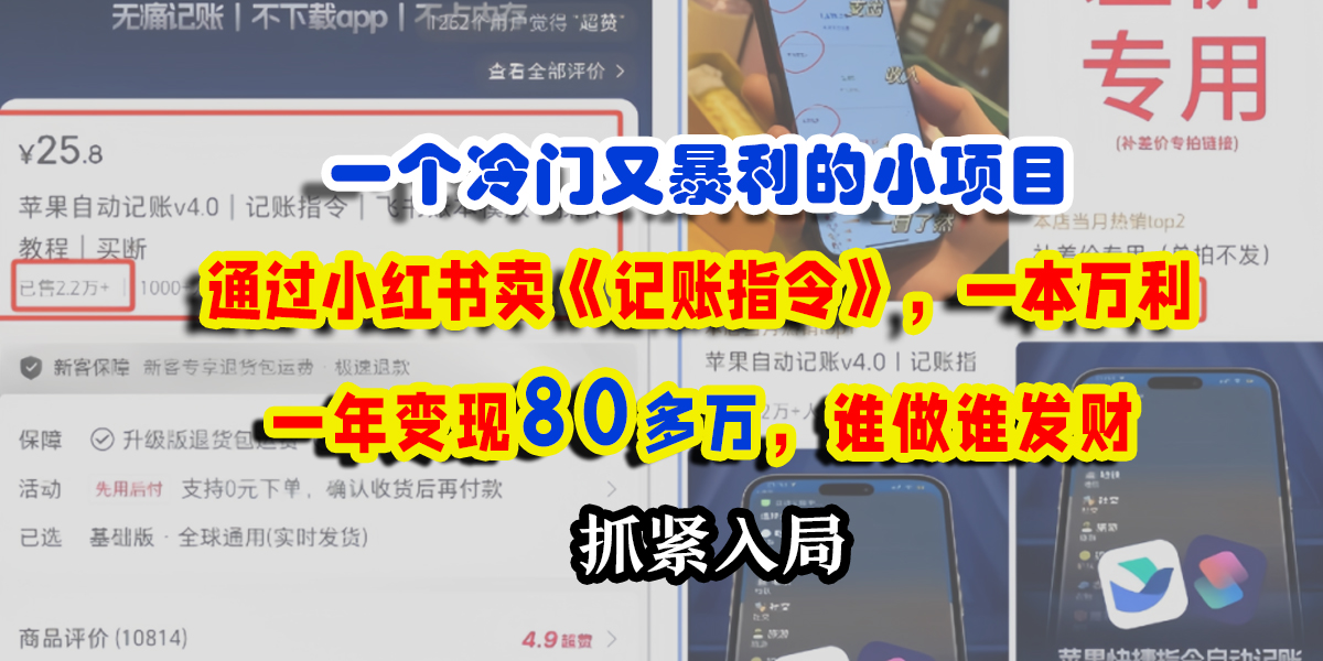 一个冷门又暴利的小项目，通过小红书卖《记账指令》，一本万利，一年变现80多万，谁做谁发财-六道网创