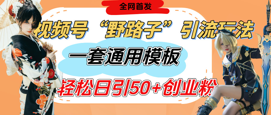 视频号“野路子”玩法，评论区疯狂截流，一套模板单日单号引流50+创业粉-六道网创