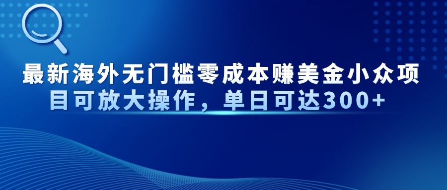 最新海外无门槛美金小众项目可放大操作，单日可达300+-六道网创