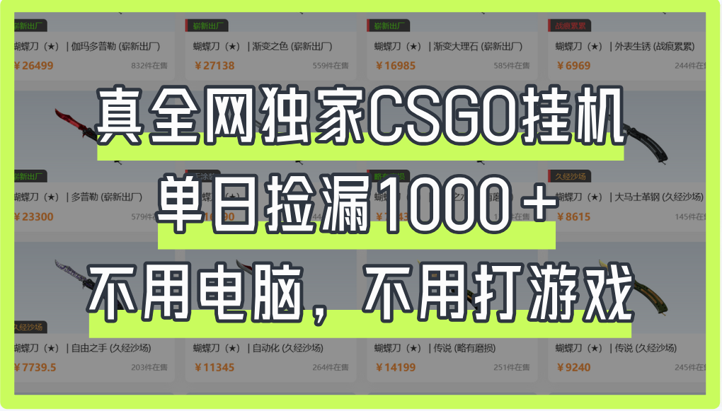 真全网独家CSGO挂机，单日捡漏1000+-六道网创
