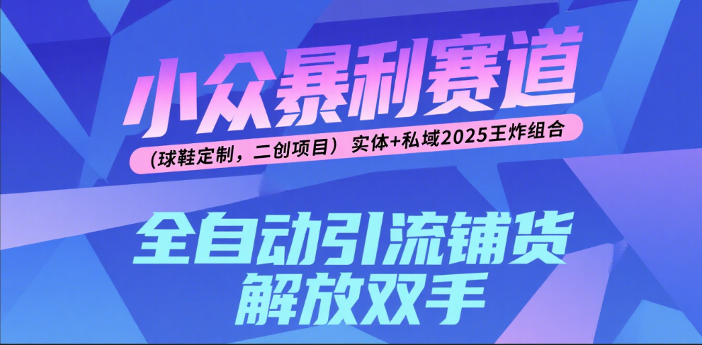 楠—小众暴利赛道（球鞋定制，二创项目）实体+私域2025王炸组合-六道网创