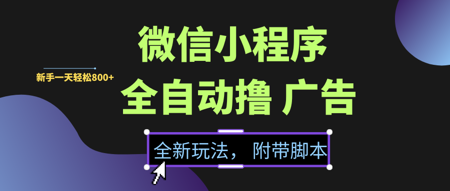 微信小程序挂机撸广告，全新玩法，新手一天轻松800+【附带脚本】-六道网创