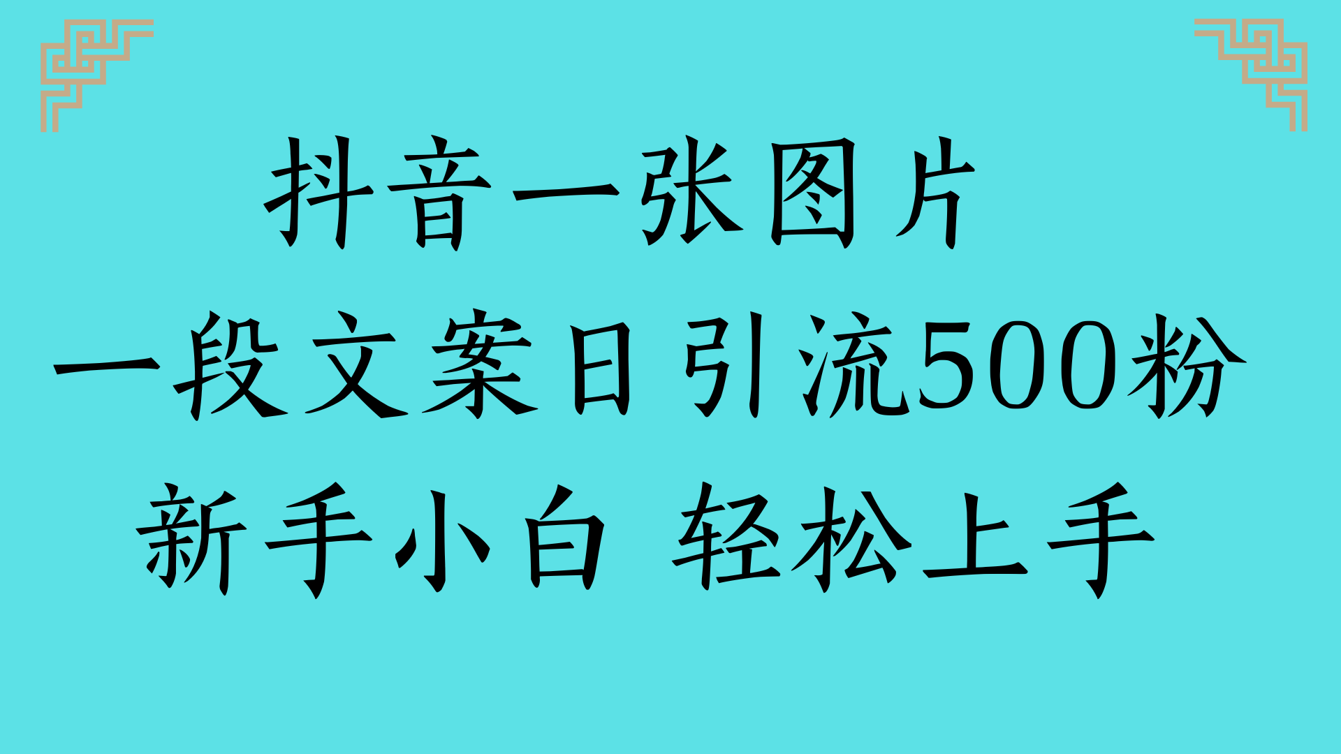 抖音一张图片 一段文案日引流500粉新手小白 轻松上手-六道网创