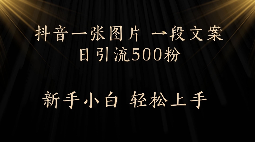 抖音一张图片，一段文案日引流500粉，新手小白 轻松上手-六道网创