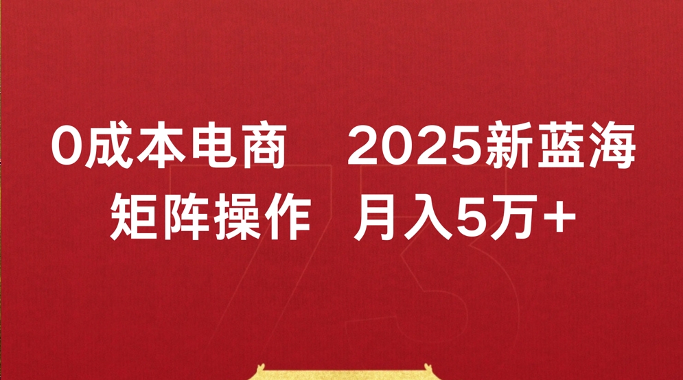0成本电商2025新蓝海矩阵操作 月入5万+-六道网创