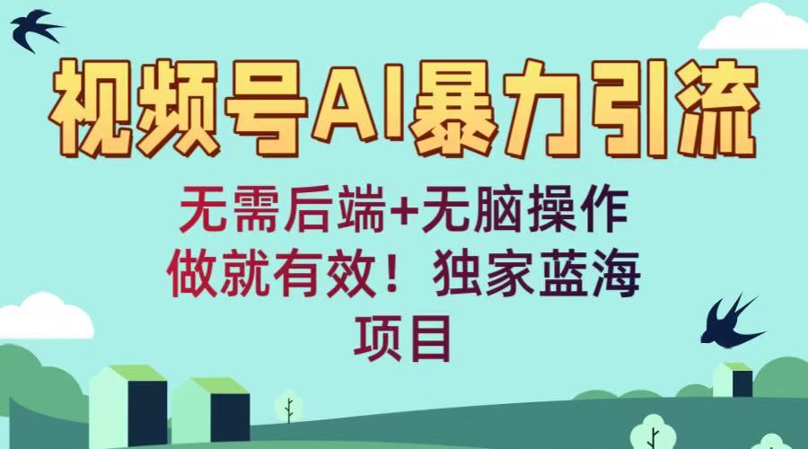 视频号AI暴力引流：无需后端+无脑操作，做就有效！独家蓝海项目-六道网创