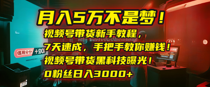 月入5万不是梦！视频号带货新手教程，7天速成，手把手教你赚钱！视频号带货黑科技曝光！0粉丝日入3000+-六道网创