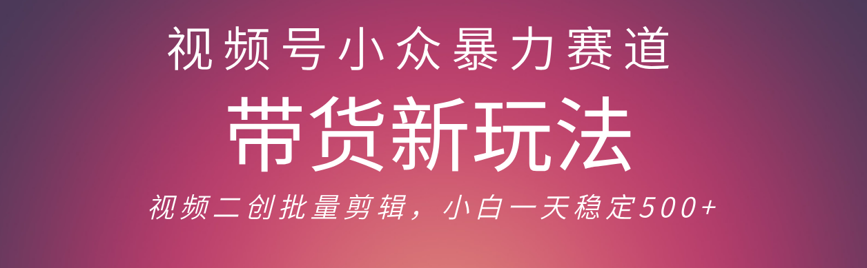 视频号小众暴力赛道，最新带货玩法 小白也能轻松日入500+ 保姆及教程-六道网创
