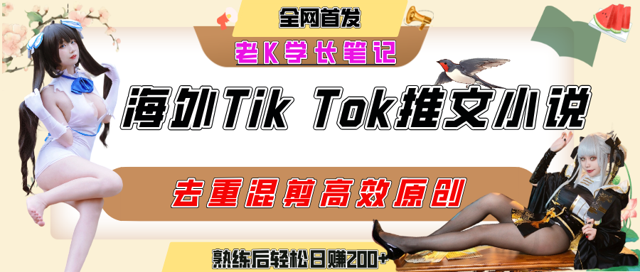 海外tiktok小说推文暴力项目，高停留率，高转化率，上手后一天搞顿饭钱不是问题-六道网创