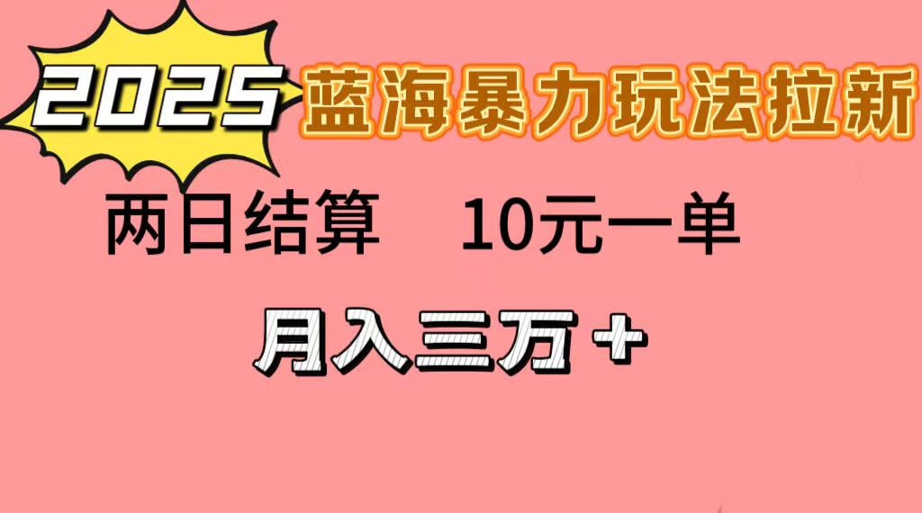 蓝海暴力拉新项目，10元一单，两日结算，月入3w➕-六道网创
