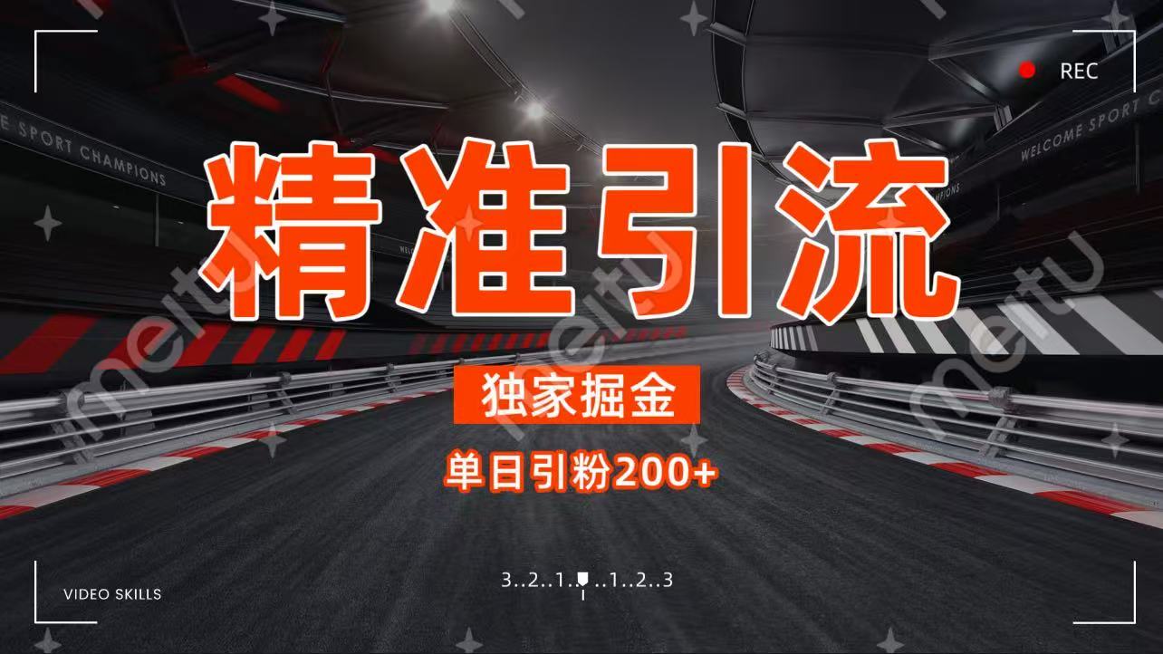 独家野路子精准引流 每日200+-六道网创