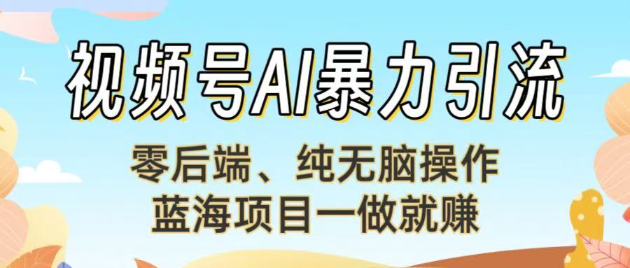 视频号AI暴力引流：零后端、纯无脑操作，蓝海项目一做就赚！【下面那个链接失效了】-六道网创