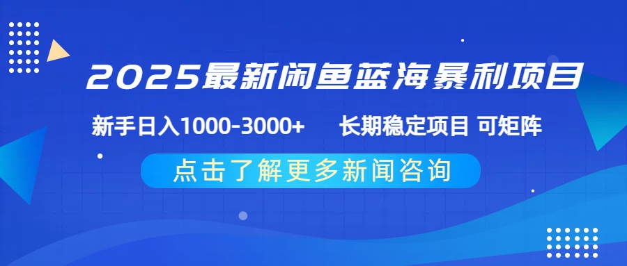 2025最新闲鱼蓝海暴利项目 ，新手日入1000-3000+ 长期稳定项目 可矩阵-六道网创