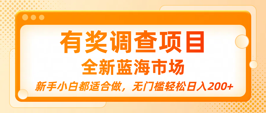 有奖调查项目，全新蓝海市场，新手小白都适合做，无门槛轻松日入200+-六道网创