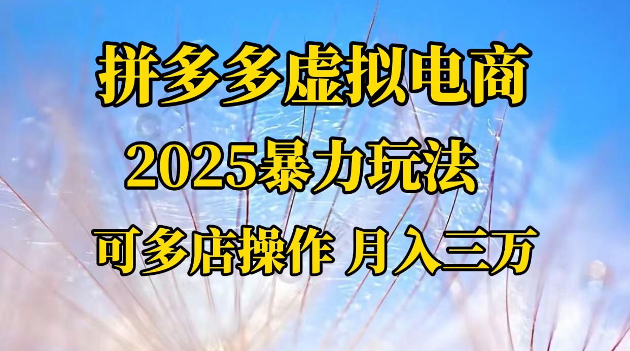 拼多多虚拟电商，不囤货不垫资的虚拟电商-六道网创