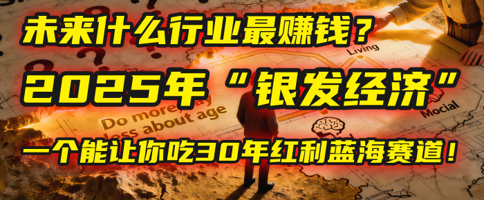 未来什么行业最赚钱？马哥揭秘2025年“银发经济”：一个能让你吃30年红利的蓝海赛道！-六道网创